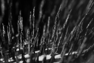 Reaction of iron dust to a magnetic field. Iron filings spikes. Neodymium magnet. Isolated on a...