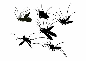 BLACK SILHOUETTE OF FLYING MOSQUITO