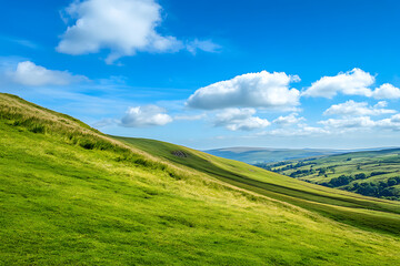 Naklejka premium landscape with green grass and sky