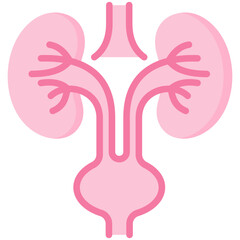 Urology Icon