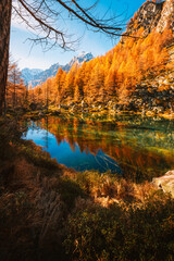 Clear Mountain Waters and Autumn Foliage in the Alps