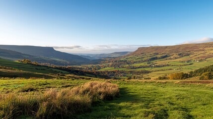 Golden rolling hills with a clear blue sky, capturing the beauty of a rural landscape