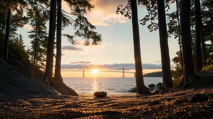 Serene coastal scene with tall pine trees framing the ocean and a distant view of a bridge