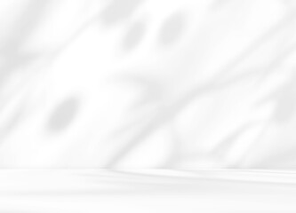 Empty white room studio with olive tree shadow overlay effect for product presentation display. Cosmetic beauty fashion showroom. Sunlight through the window. Minimal Mock up interior background.	