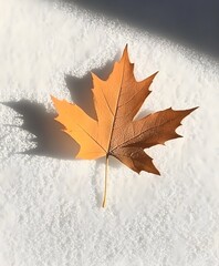 A single orange maple leaf resting on a bed of white snow, showcasing the contrast between autumn foliage and winter's chill.
