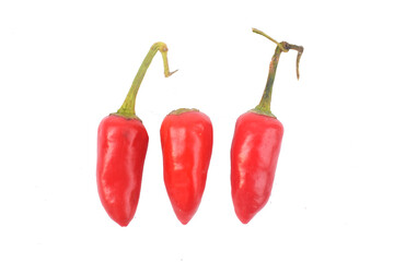 red hot Chili Peppers isolated on white background, clipping path, full depth of field pot soil,Chili Powder in wooden bowl isolated on white background