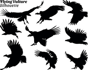 Flying Vulture silhouette illustration set