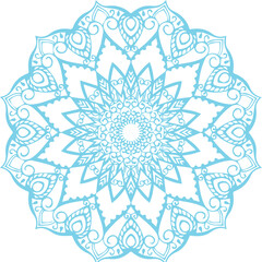 Beautiful flower art and mandala vector design
