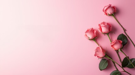 Naklejka premium Elegant Pink Roses on Soft Pink Background
