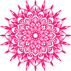Beautiful flower art and mandala vector design