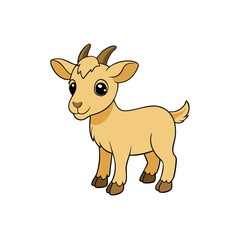 a baby goat standing on all fours