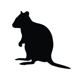 Quokka black silhouette isolated on a white background