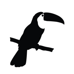 Toucan bird black and white silhouette © Flyillustrations