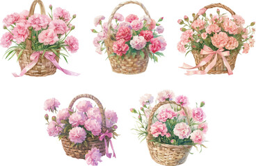 carnation basket watercolor clipart