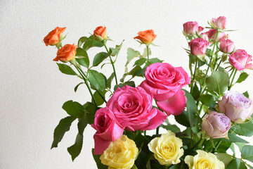 カラフルな薔薇