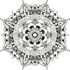 Beautiful flower art and mandala vector design