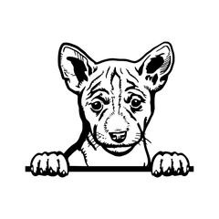 Peeking Puppy Basenji - Dog Breed, Puppy Breed Vector File, detailed vector
