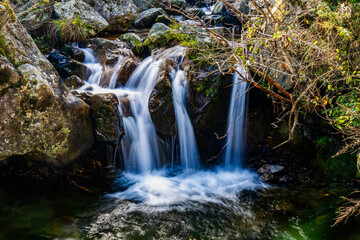 waterfall in the forest