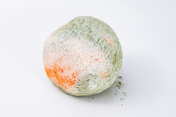 カビが生えたみかん　食品衛生