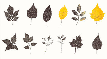 Obraz premium Collection of Silhouettes Featuring Various Leaf Shapes and Designs