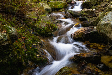 waterfall in the forest