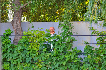 Fence in the village with stretched wires