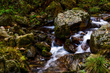 waterfall in the forest