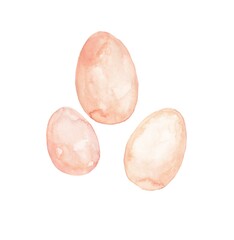 Chicken eggs in watercolor on a white background. Products for store signage, menus, and restaurants.
