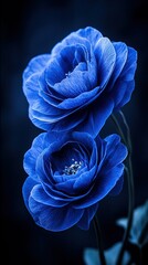   A blue flower sits atop a white vase, which rests on top of a blue flower vase