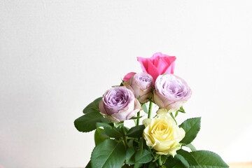 三色の薔薇