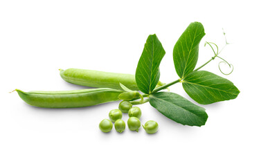Fresh green peas with leaves