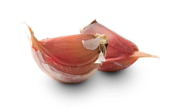 Garlic isolated on white