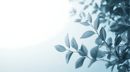 Serene Blue Leaves Branch Soft Light Background