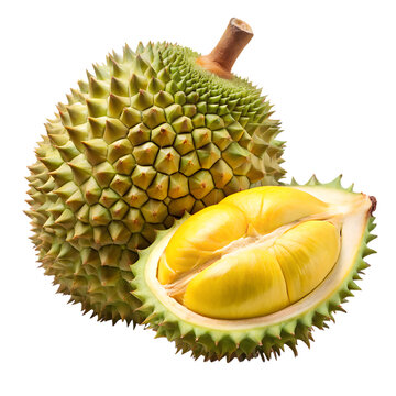 Durian fruit isolated on white background