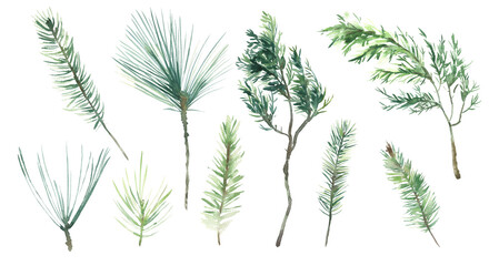 Hand-Painted Watercolor Collection with Winter Greenery Branches.