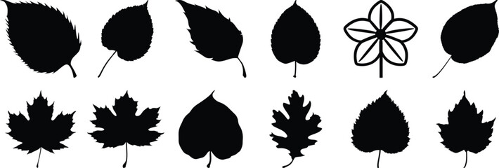 Leaf silhouette set vector design big pack of nature illustration and icon