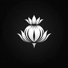 Elegant stylized white flower on black background.