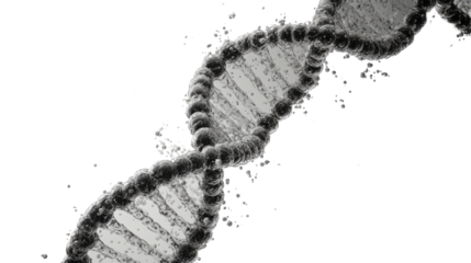 DNA helix isolated on white background