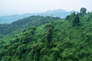 Experience the breathtaking beauty of a lush green mountain landscape with rolling hills