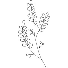 Leaves Line Illustration