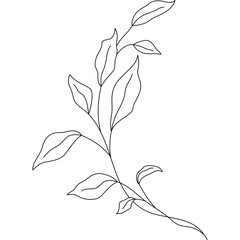 Leaves Line Illustration