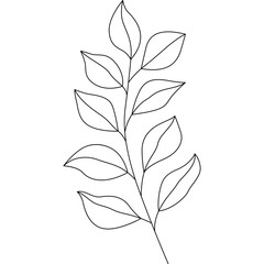 Leaves Line Illustration