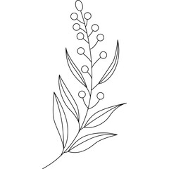 Leaves Line Illustration