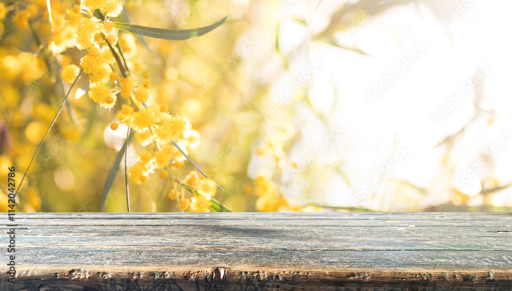 Poster spring beautiful nature background with blooming bright fluffy mimosa and empty wooden table in natu