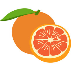 Fruit Citrus Illustration