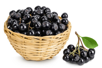 Chokeberry in a wicker basket isolated on white background. Black aronia.