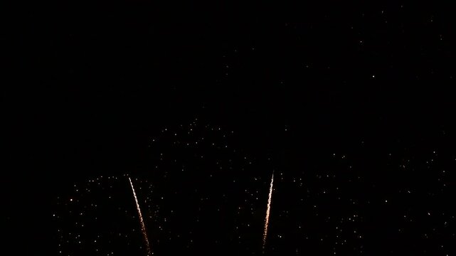 Fireworks display celebration over dark background 3D rendering