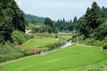 Obraz premium 田舎の風景