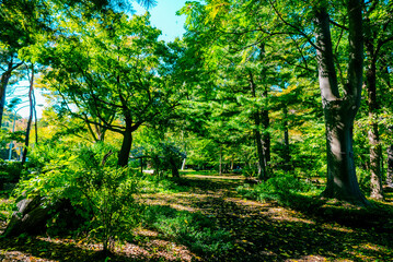 【北海道】北海道神宮 パワースポット