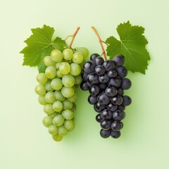 Fototapeta premium Fresh Green and Black Grapes on Pastel Background